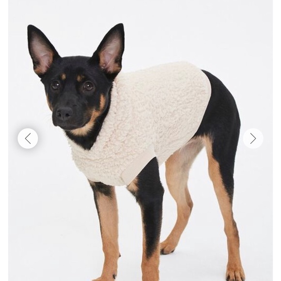 Dog | Fur Sherpa Dog Sweater | Poshmark